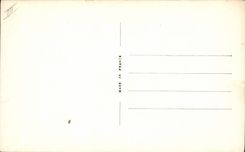 CPA Fantaisie Fleurs Ce que disent les oeillets 