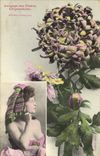 CPA Fantaisie Langage des Fleurs Chrysantheme Femme 