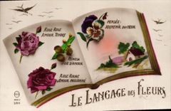 CPA Fantaisie Langage des Fleurs 