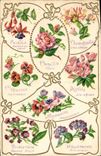 CPA Fantaisie Langage des Fleurs 