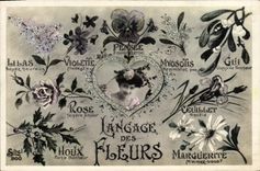 CPA Fantaisie Langage des Fleurs 