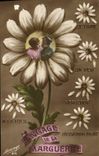 CPA Fantaisie Langage de la marguerite Fleurs 