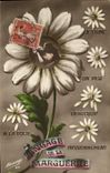 Vintage Postcard Fantasy Language of the Marguerite Flowers