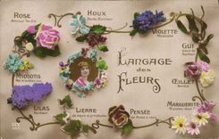 CPA Fantaisie Langage des Fleurs 