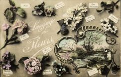 CPA Fantaisie Langage des Fleurs 