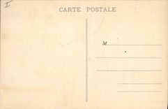 CPA Palmiers Palmier Maroc Une palmeraie 