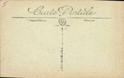 CPA Palmiers Palmier Paysage saharien Palmiers Dattiers 