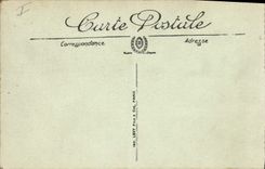 Vintage Postcard Palm trees Palm tree the harvest of dates modes