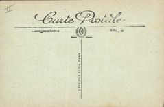 CPA Palmiers Palmier La recolte des dattes Les regimes 