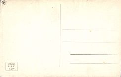 Vintage Postcard Palm trees Palm tree Algiers Palm trees of the Bresson public garden