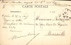 Vintage Postcard Palm trees Hyeres Palm tree the new town hall