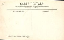 CPA Palmiers Palmier Oran La promenade prise de l'etang 