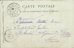 CPA Palmiers Palmier Misserguin Etude de palmiers 