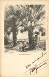 Vintage Postcard Palm trees - date palms Palm tree