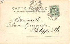 Vintage Postcard Palm trees - date palms Palm tree