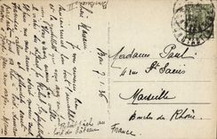 Vintage Postcard Palm trees Palm tree Gathering of dates