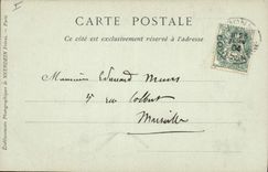 CPA Palmiers Palmier Regime de dattes 