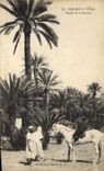 CPA Etude de Palmiers Cheval Palmier 