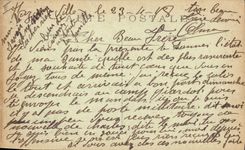 CPA Etude de Palmiers Cheval Palmier 