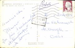 CPA La montee aux Palmiers Palmier 