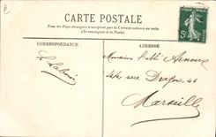 CPA Palmiers Palmier La recolte des dattes 