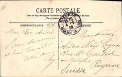 CPA Palmiers Palmier La recolte des dattes 