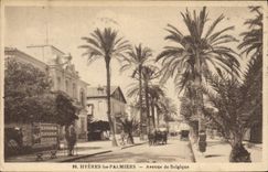 CPA Hyeres les Palmiers Palmier Avenue de Belgique 