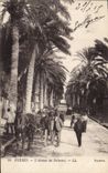 Vintage Postcard Hyeres Avenue of the Palm trees Palm tree