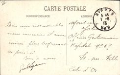 CPA Hyeres Avenue des Palmiers Palmier 