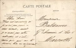 CPA Algerie Etude de Palmiers Palmier 