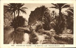 Vintage Postcard At the edge of a wadi Palm trees - date palms Palm tree