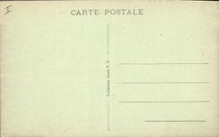 CPA Palmiers au bord d'un oued Palmier 