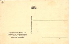 Vintage Postcard Palm trees Palm tree In the Southern palm plantation Algerian