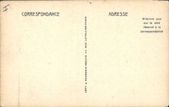 CPA Palmiers dattiers Au bord d'un oued Ane Mule Palmier 