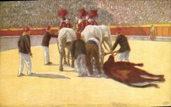 CPA Corrida Course de taureaux Arrastre 