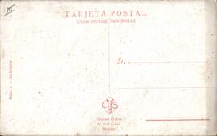 CPA Corrida Course de taureaux Un brindis 