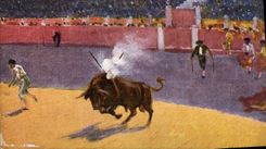 CPA Corrida Course de taureaux Bertuchi 