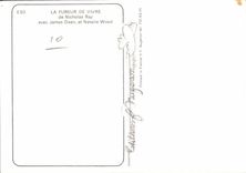 Vintage Postcard Cinema fury of living James Dean Natalie Wood Nicholas Ray