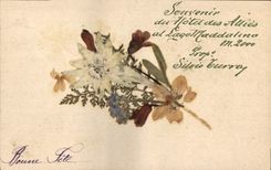 CPA Fantaisie Fleurs sechees 