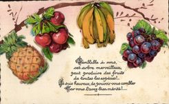 CPA Fantaisie Ananas Cerises Banane Raisins 