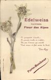 CPA Fantaisie Fleurs sechees Edelweiss 