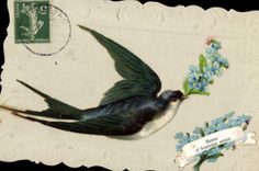 CPA Fantaisie Fleurs Hirondelle 