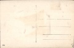 Vintage Postcard Fantasy Lion Child (in relief)