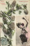 Vintage Postcard Fantasy the language of the Flowers Reseda