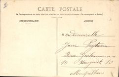 Vintage Postcard Fantasy the language of the Flowers Reseda