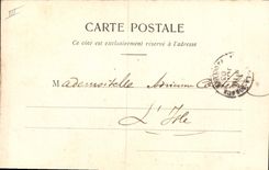 Vintage Postcard Fantasy the language of the Flowers Snowball