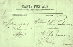 Vintage Postcard an alley of Palm trees Palm tree Donkey Mule