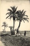 Vintage Postcard Carthage Groups Palm trees Palm tree