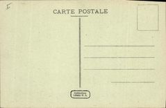 Vintage Postcard Palm trees Palm tree Landscape of the South