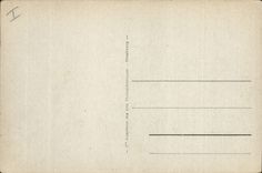 Vintage Postcard Palm trees Palm tree Palm plantation